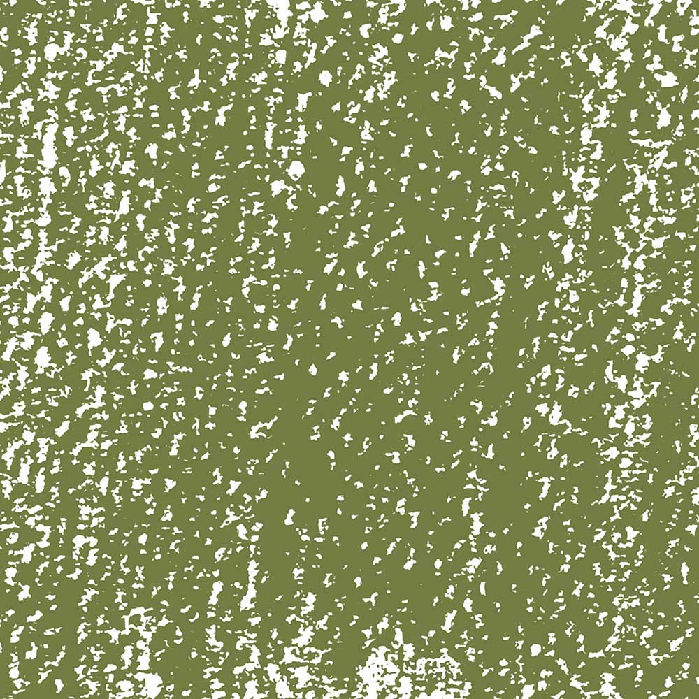 Rembrandt Soft Pastel Permanent Green Light 618.3