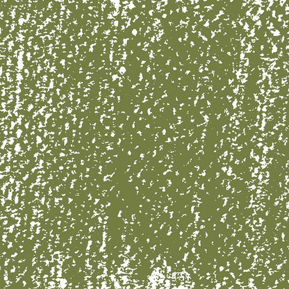 Rembrandt Soft Pastel Permanent Green Light 618.3