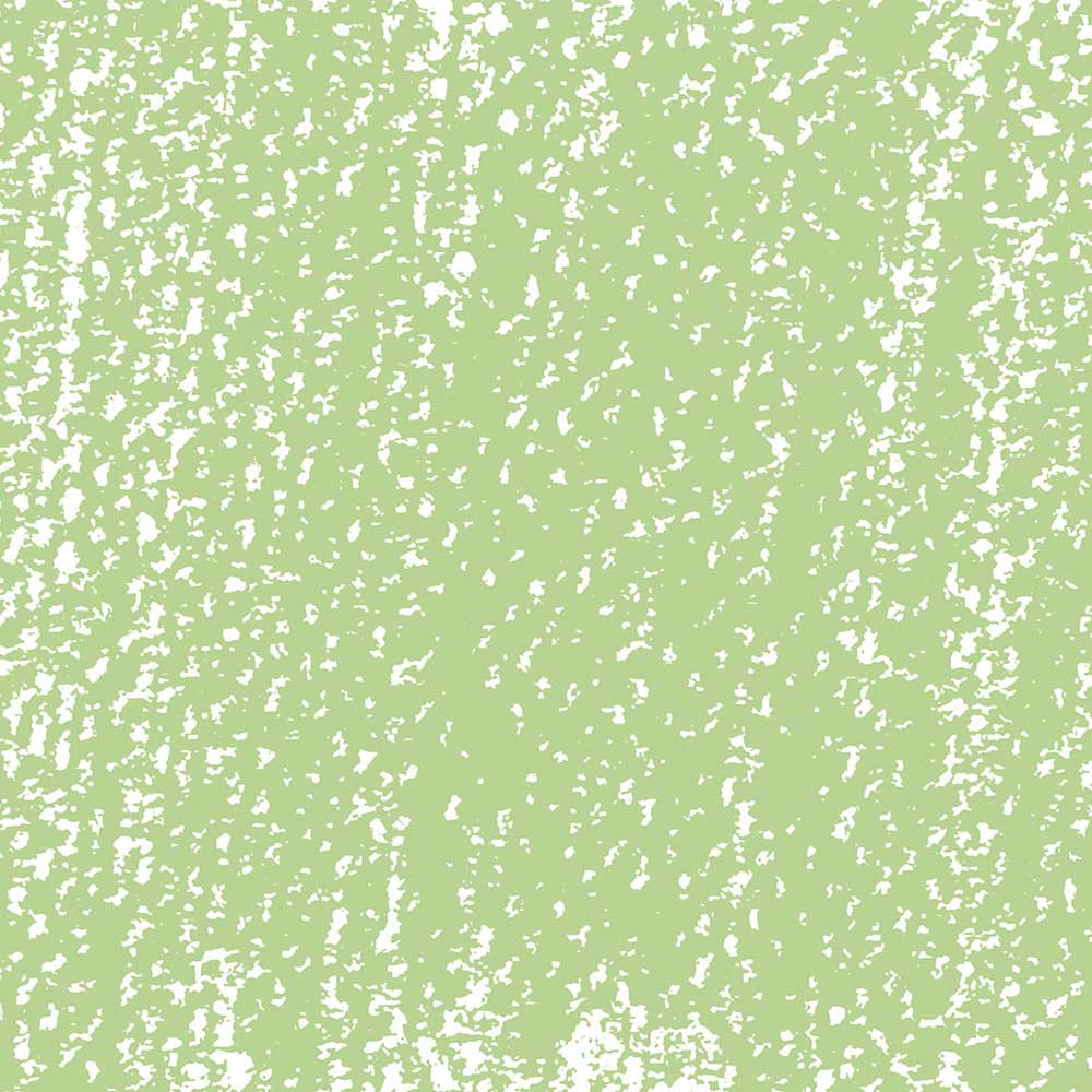 Rembrandt Soft Pastel Permanent Green Light 618.8