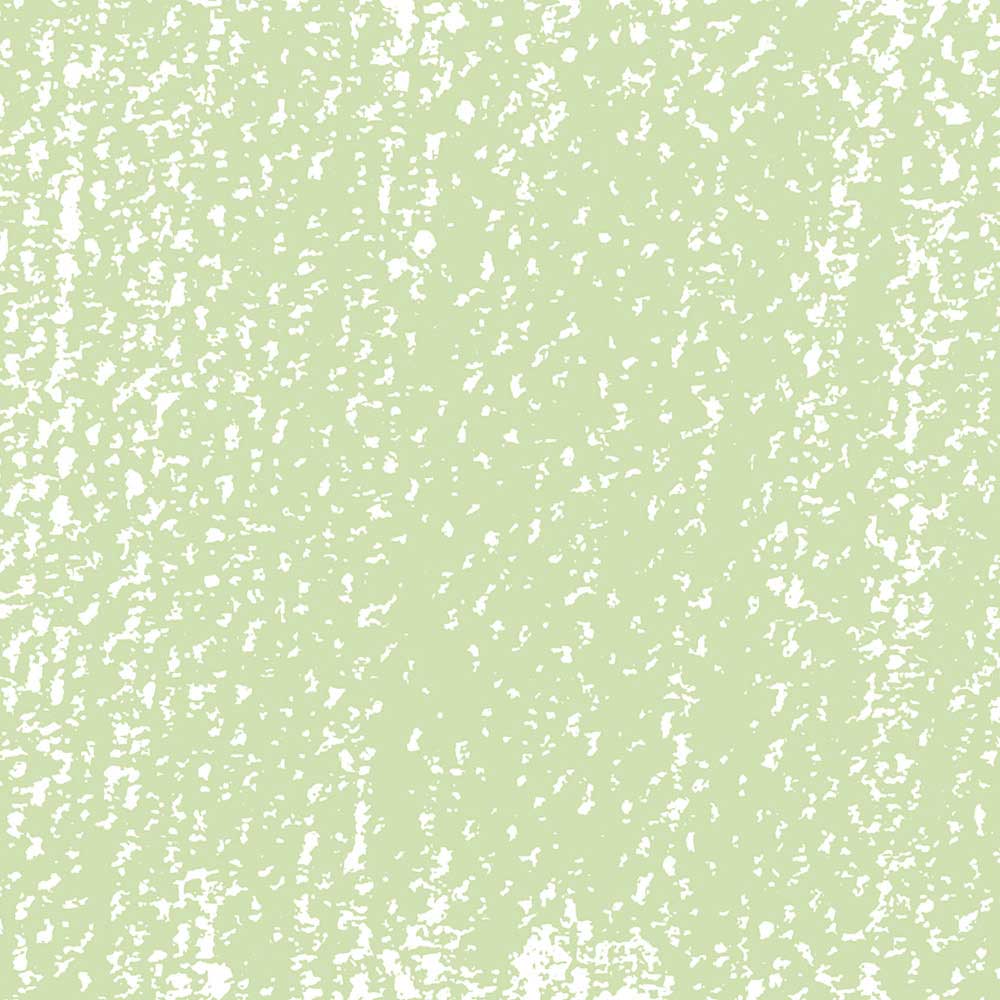 Rembrandt Soft Pastel Permanent Green Light 618.9