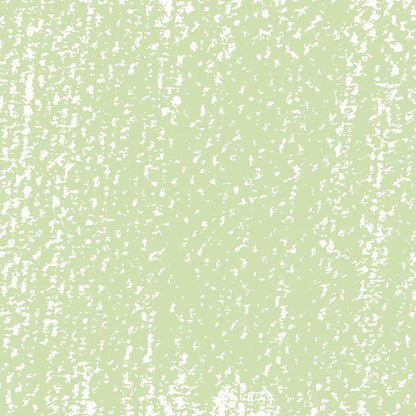 Rembrandt Soft Pastel Permanent Green Light 618.9