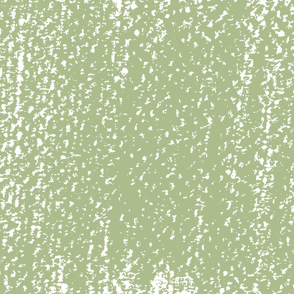 Rembrandt Soft Pastel Olive Green 620.10