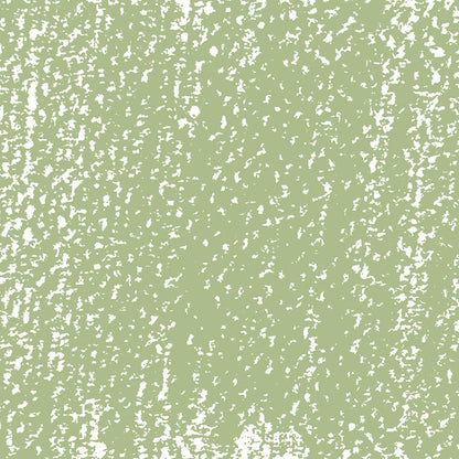 Rembrandt Soft Pastel Olive Green 620.10