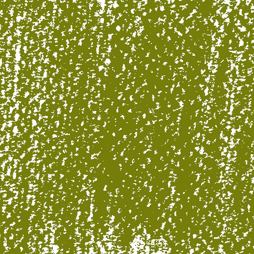 Rembrandt Soft Pastel Olive Green 620.3