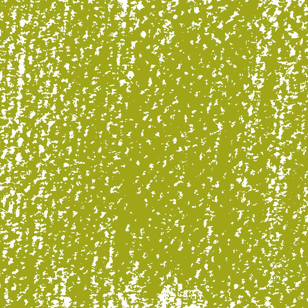 Rembrandt Soft Pastel Olive Green 620.5