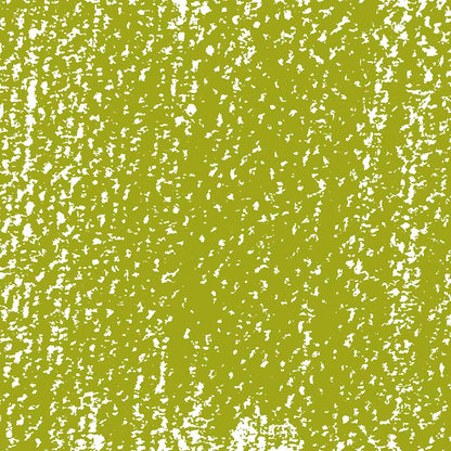 Rembrandt Soft Pastel Olive Green 620.5