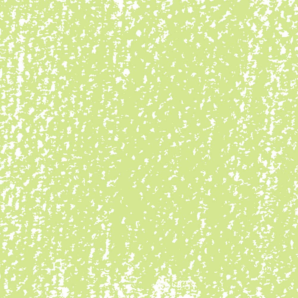 Rembrandt Soft Pastel Olive Green 620.8