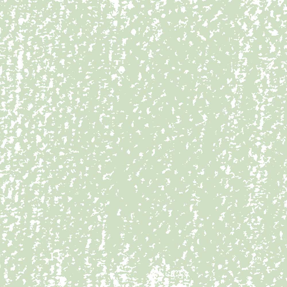 Rembrandt Soft Pastel Cinnabar Green Deep 627.10