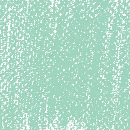 Rembrandt Soft Pastel Phthalo Green 675.8
