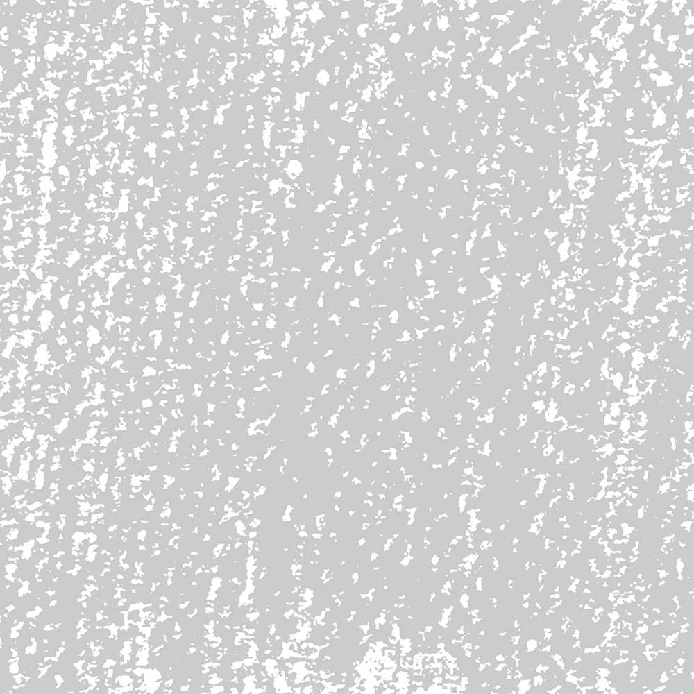 Rembrandt Soft Pastel Grey 704.8