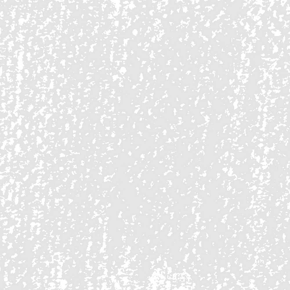 Rembrandt Soft Pastel Grey 704.9