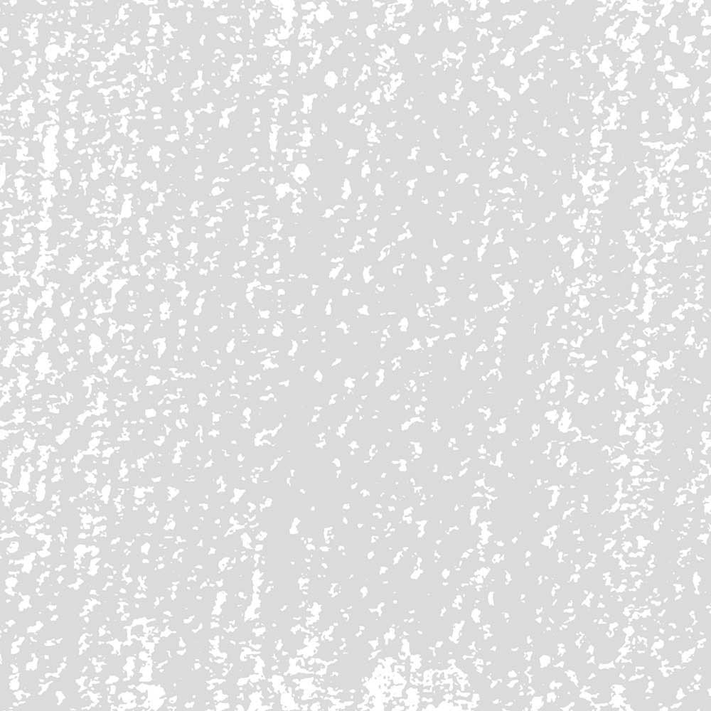 Rembrandt Soft Pastel Mouse Grey 707.10