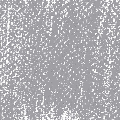 Rembrandt Soft Pastel Mouse Grey 707.8