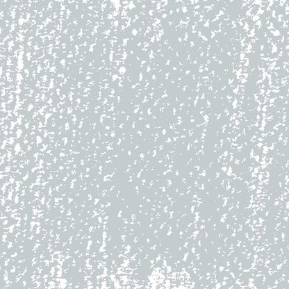 Rembrandt Soft Pastel Bluish Grey 727.8