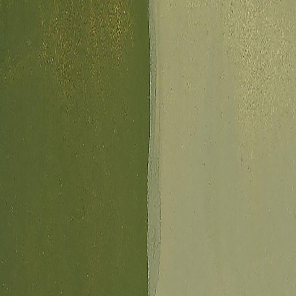 Talens Guaj 16ml Olive Green 620