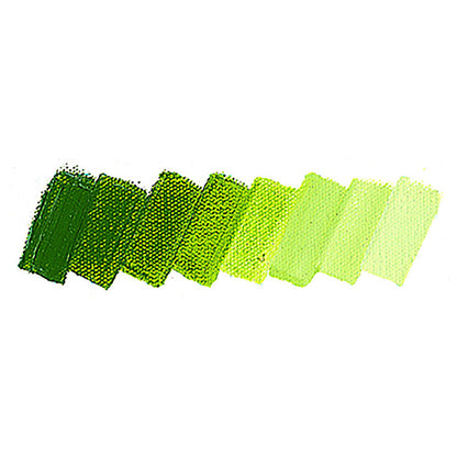 Schmincke Mussini Yağlı Boya 35ml Translucent Golden Green 534 S.3
