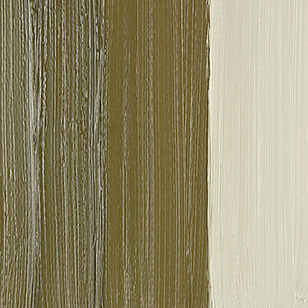 Schmincke Mussini Yağlı Boya 35ml Natural Bohemian Green Earth 646 S.1