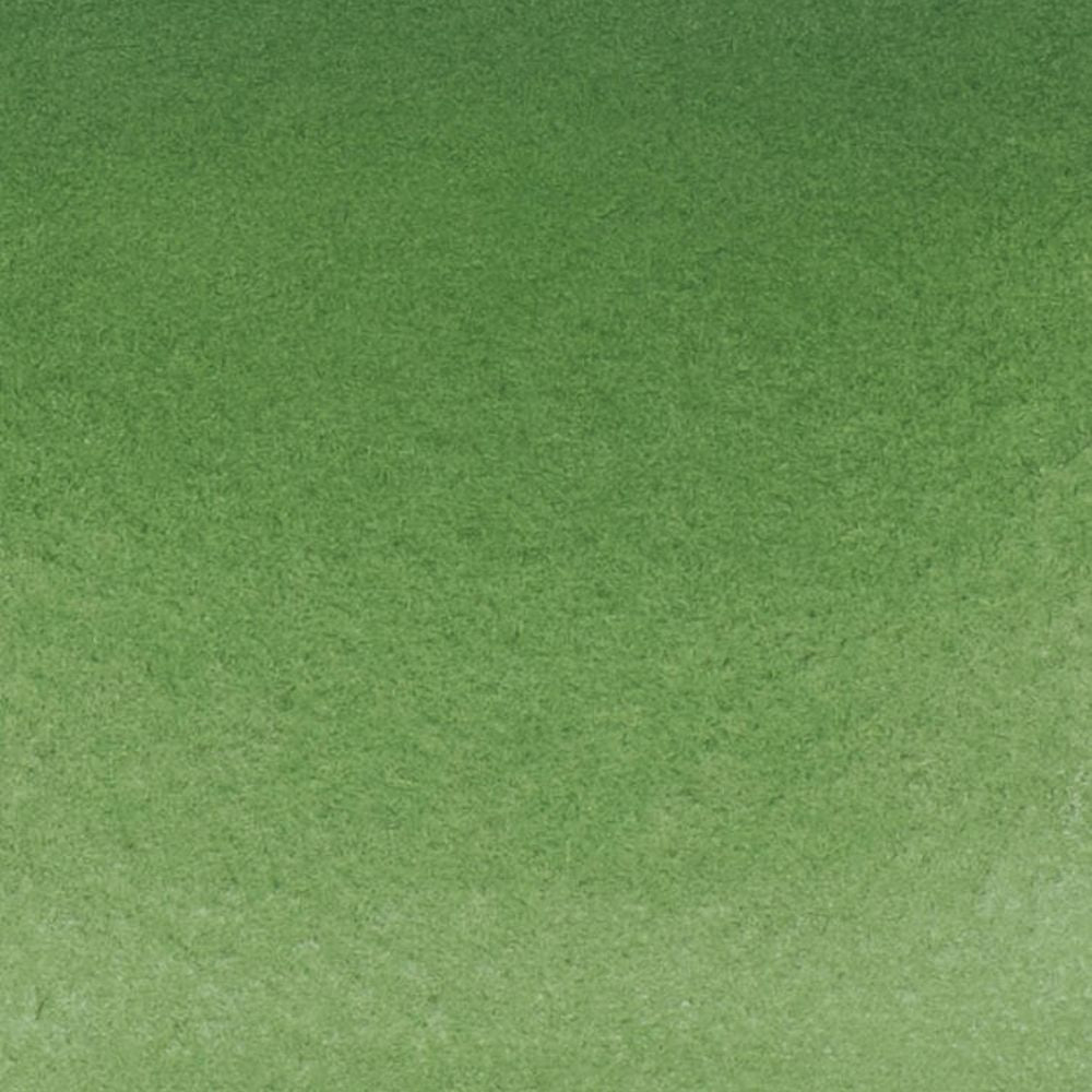Schmincke Horadam Aquarell Chromium Oxide Green 512 S.2 (Tam Tablet)