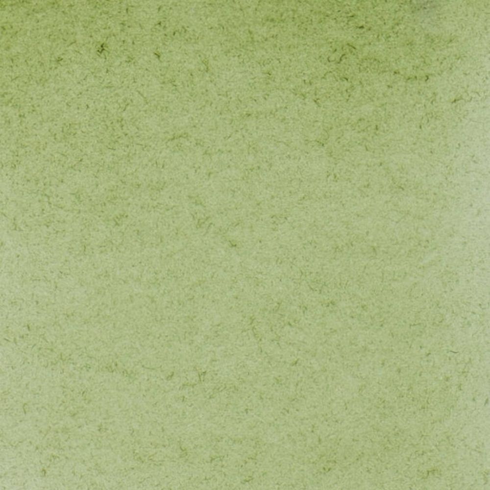 Schmincke Horadam Aquarell Green Earth 516 S.1 (Tam Tablet)