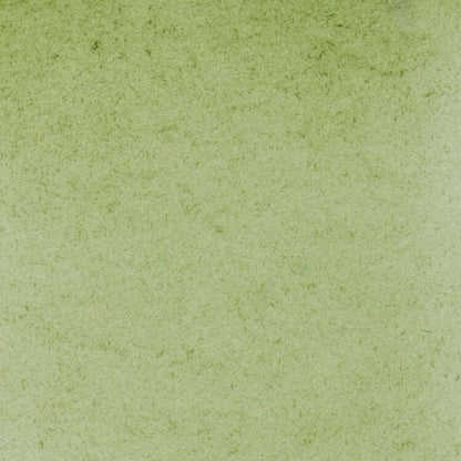 Schmincke Horadam Aquarell Green Earth 516 S.1 (Tam Tablet)