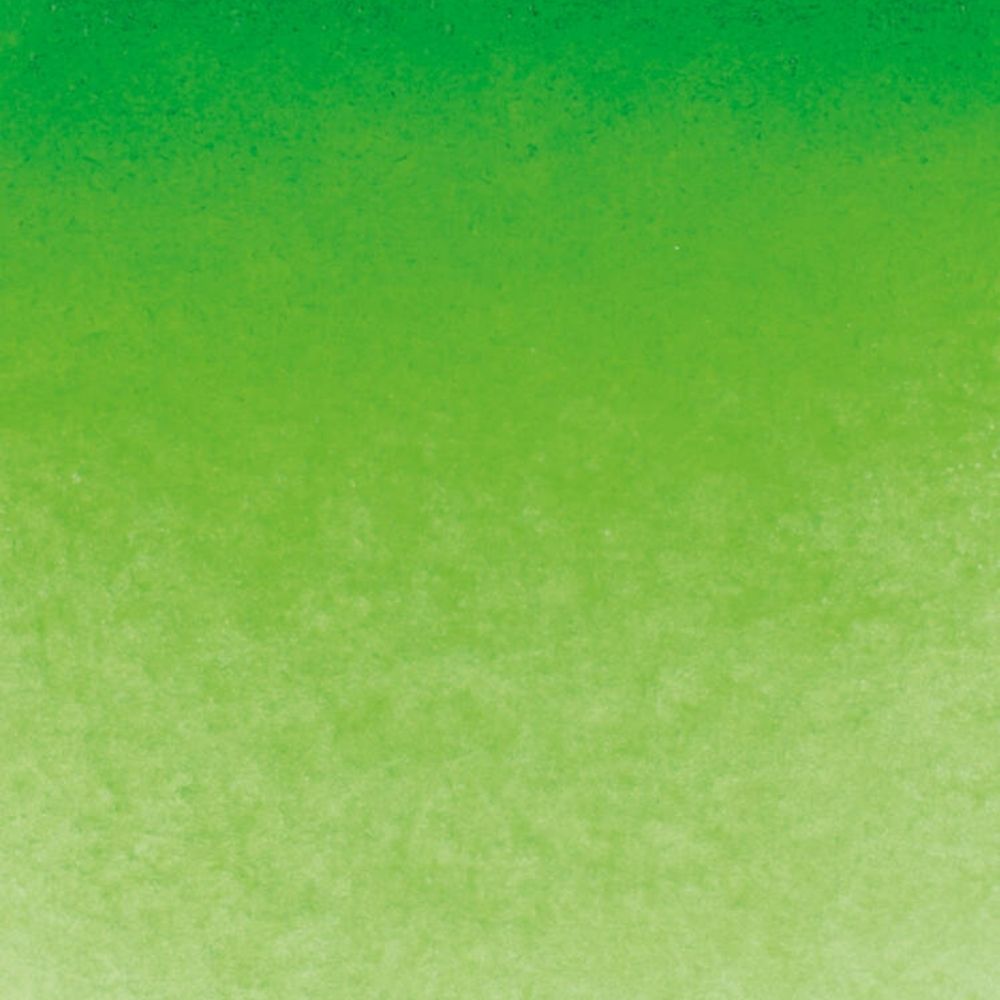 Schmincke Horadam Aquarell Permanent Green 526 S.2 (Tam Tablet)