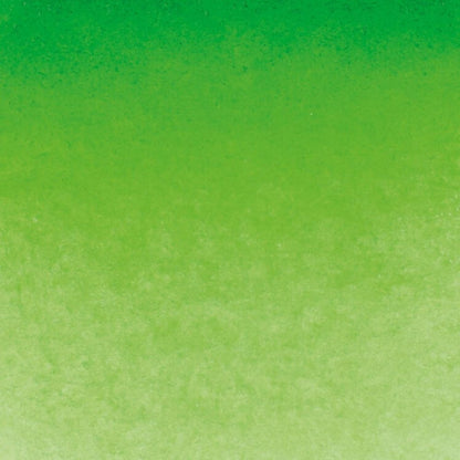Schmincke Horadam Aquarell Permanent Green 526 S.2 (Tam Tablet)