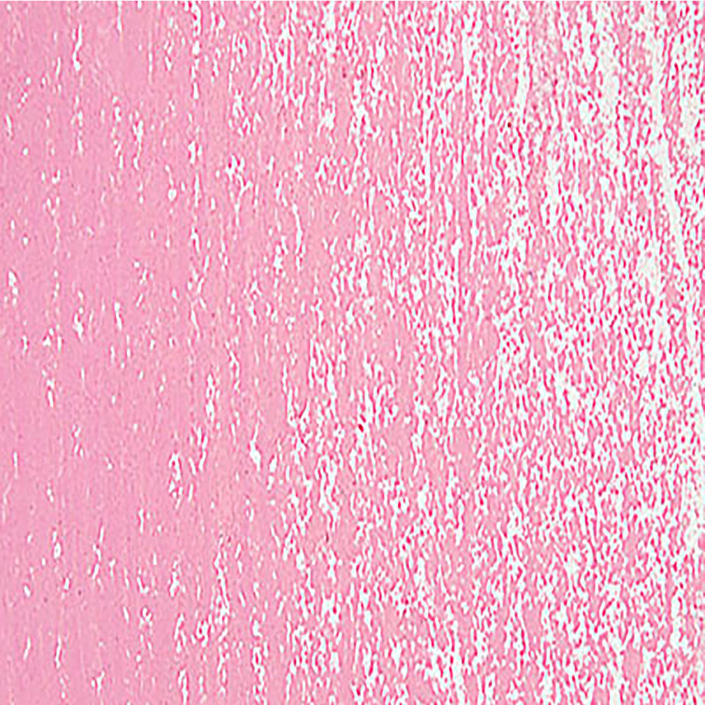 Schmincke Pastel Madder Lake 045 O (+++White)