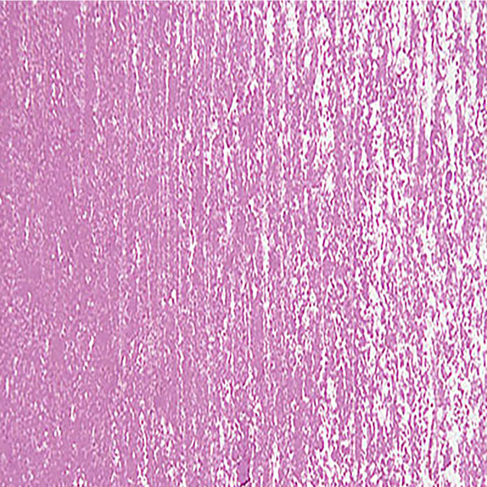 Schmincke Pastel Purple 2 050 H (+White)