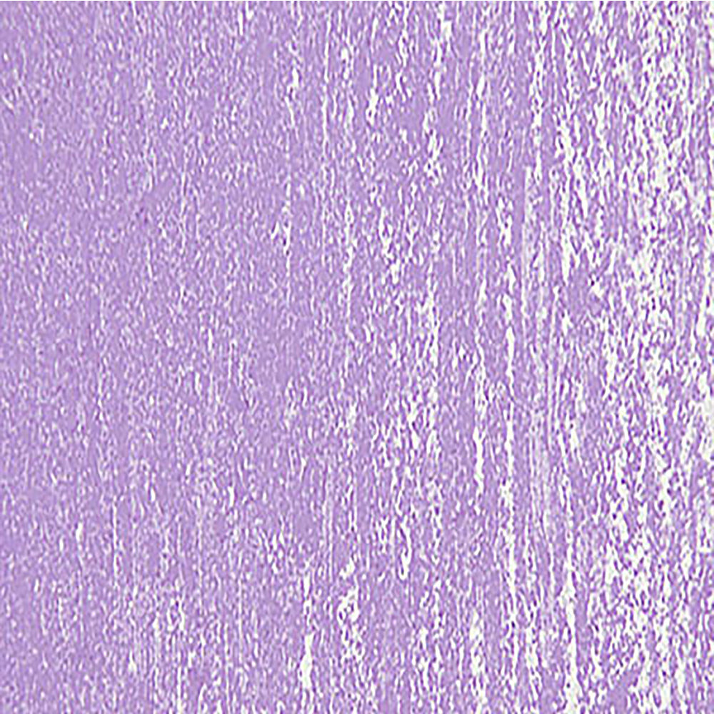 Schmincke Pastel Deep Violet 059 M (++White)