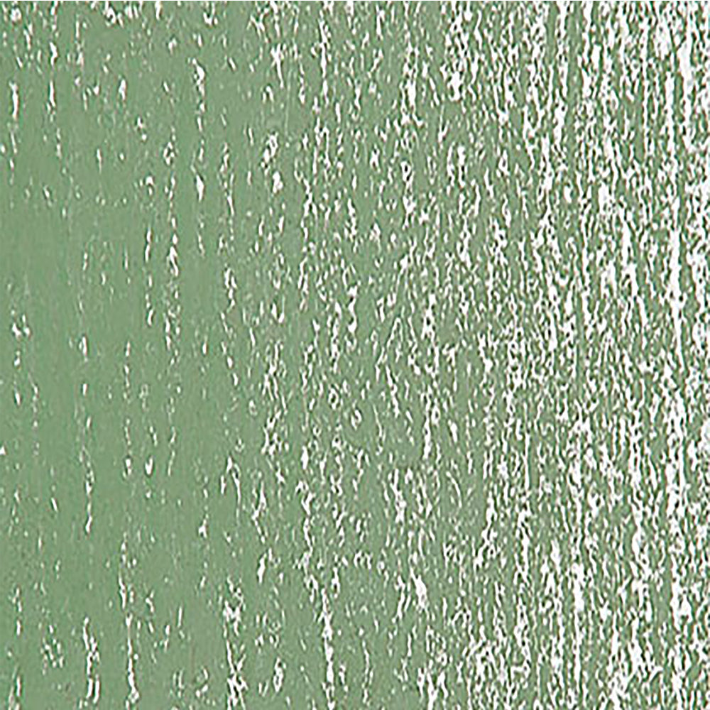 Schmincke Pastel Leaf Green 1 072 B (+Black)