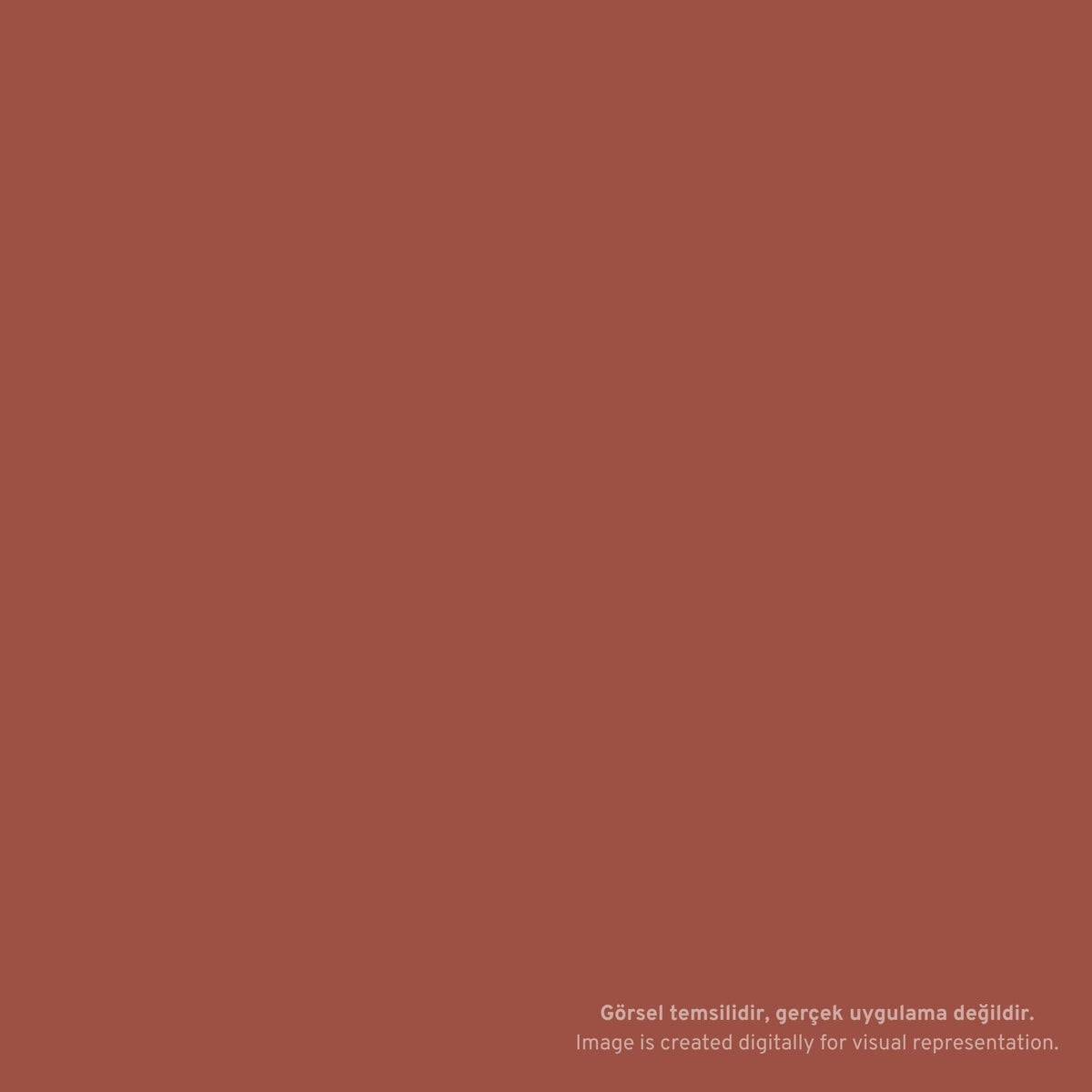 Sakura Pigma Brush 12 Brown