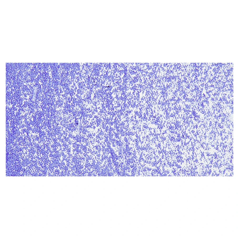 Sennelier Oil Pastel 5ml Ultramarine Blue N:5