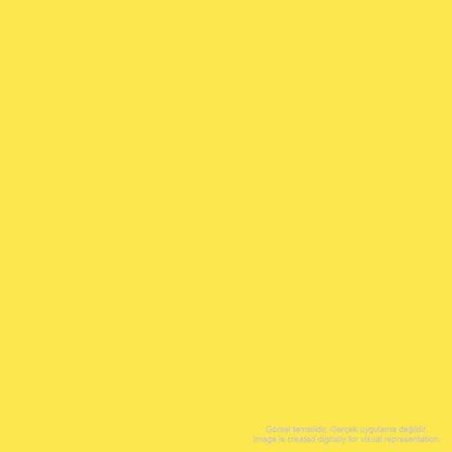 Zig Art&Graphic Twin Tut-80 Lemon Yellow 010