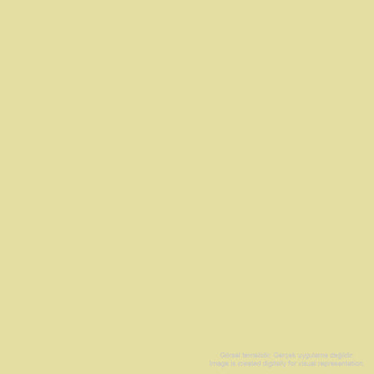 Zig Mangaka Fine&Brush Cnkc-2200 Pale Yellow 100