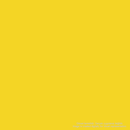 Zig Mangaka Fine&Brush Cnkc-2200 Mid Yellow 104