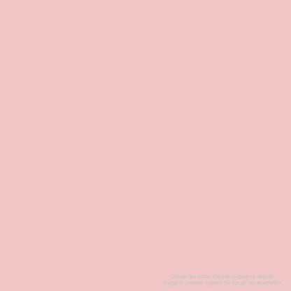 Zig Mangaka Fine&Brush Cnkc-2200 Palepink (200)202