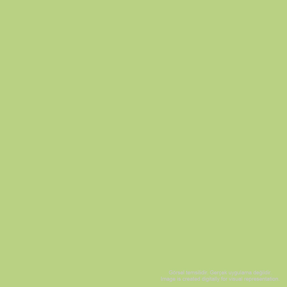 Zig Mangaka Fine&Brush Cnkc-2200 Pale Green 502