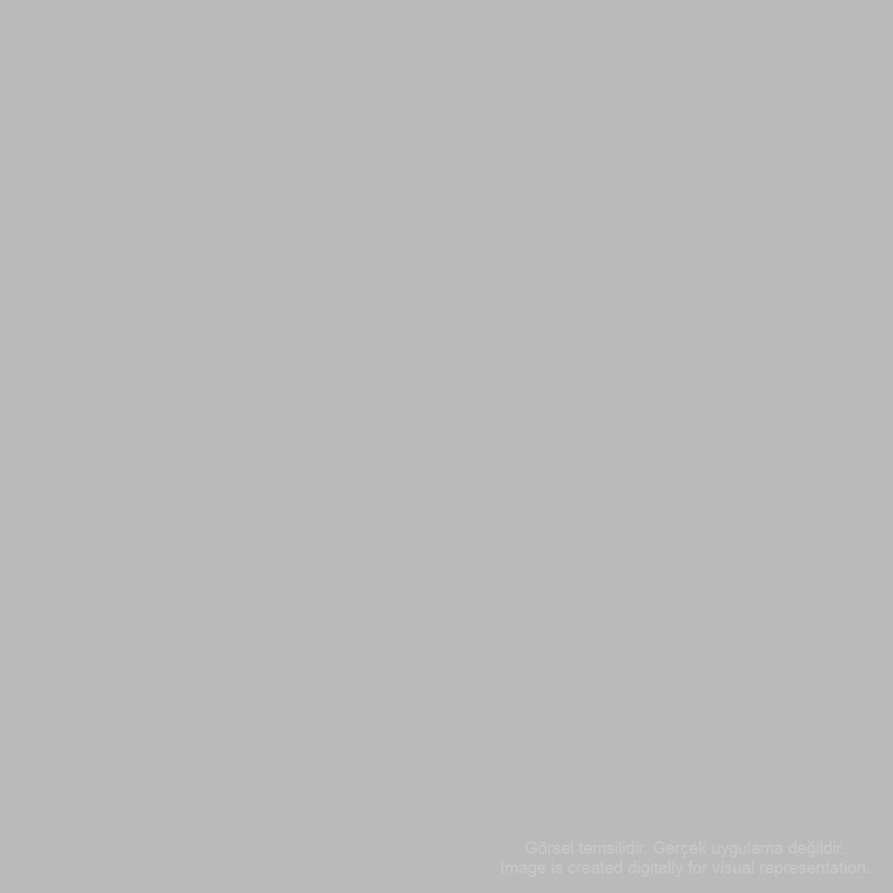 Zig Mangaka Fine&Brush Cnkc-2200 Light Gray 801