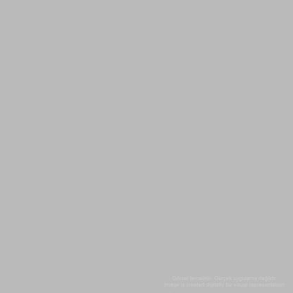 Zig Mangaka Fine&Brush Cnkc-2200 Light Gray 801