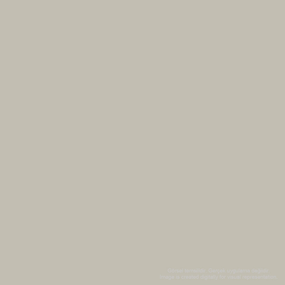 Zig Mangaka Fine&Brush Cnkc-2200 Cool Gray 3 C03