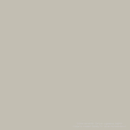 Zig Mangaka Fine&Brush Cnkc-2200 Cool Gray 3 C03