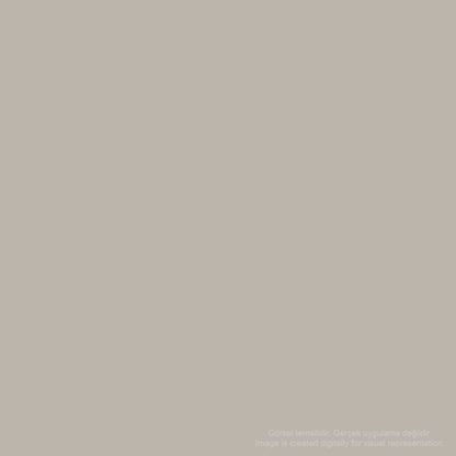 Zig Mangaka Fine&Brush Cnkc-2200 Warm Gray 1 W01