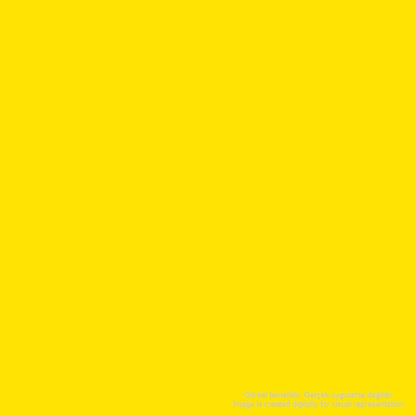 Zig Ms-5000 Scroll & Brush 050 Pure Yellow