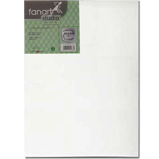Fanart Studio Tuval %100 Pamuk 320gr 40x60cm