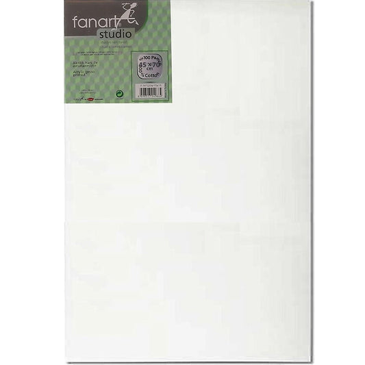 Fanart Studio Tuval %100 Pamuk 320gr 45x70cm