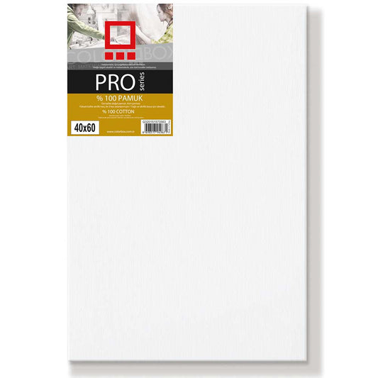 Colorbox Pro Series Pamuk 500gr Tuval (40x60cm)