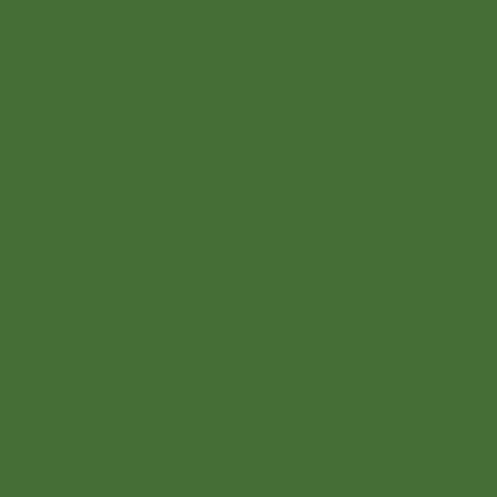Jacquard iDye Poly 14gr Green 452