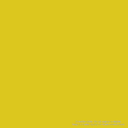Jacquard Professional Screen Ink Serigrafi Mürekkebi 118ml Opaque Yellow 124
