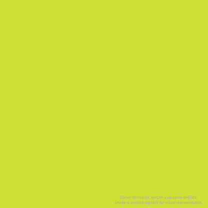 Lefranc Bourgeois Flashe Akrilik Boya 125ml Fluorescent Yellow 163 S.3