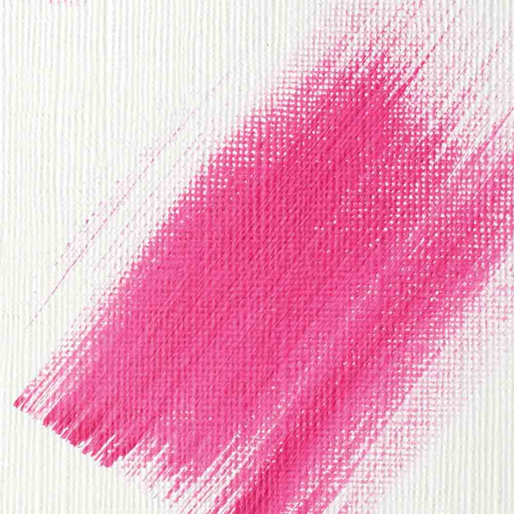 Liquitex Basics Akrilik Beyaz Zemin Astarı Gesso 250ml